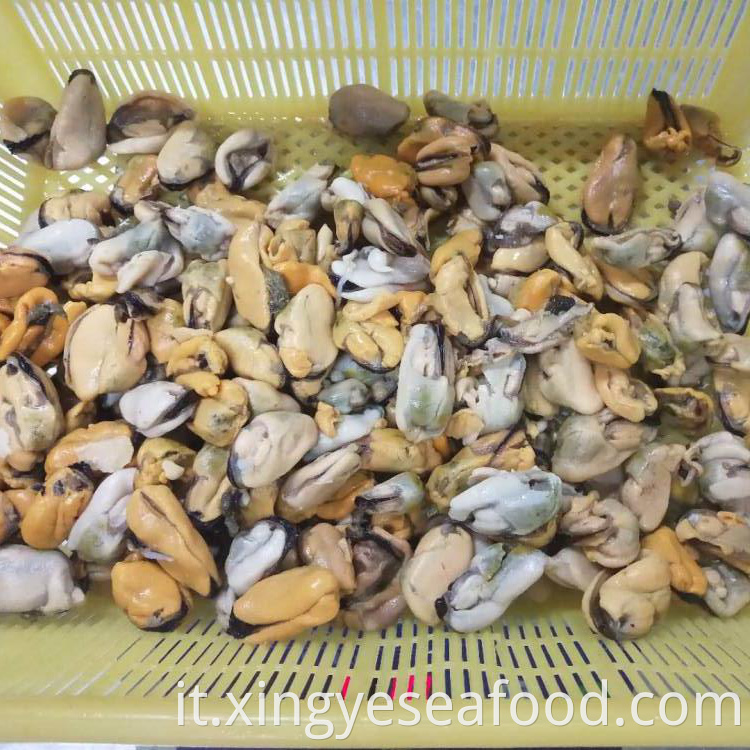 Frozen Boiled Mussels Meat